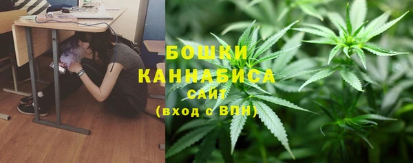 хмурый Арсеньев