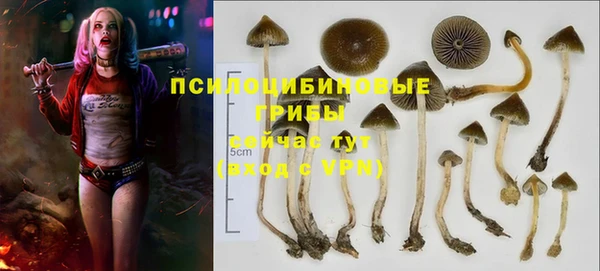 синтетический гашиш Армянск