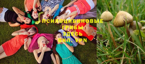 хмурый Арсеньев