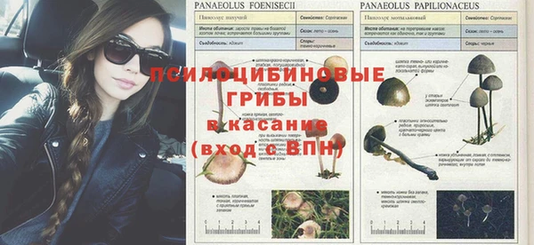 хмурый Арсеньев