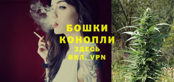 хмурый Арсеньев