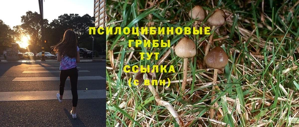 хмурый Арсеньев
